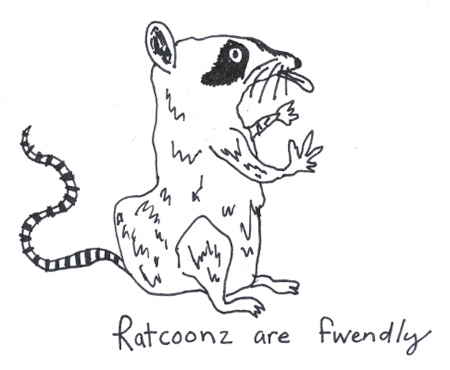 ratcoondrawing