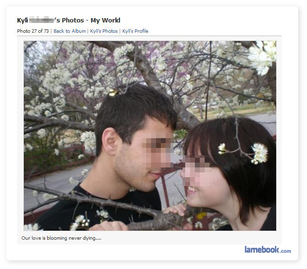 PicturePerfect2