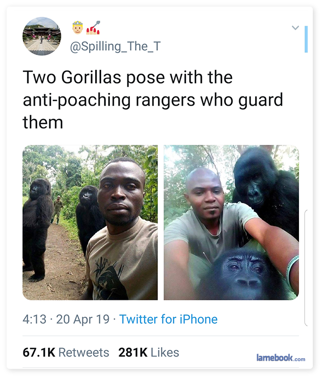 Lamebook Funny Facebook Statuses Fails Lols And More The Original Mutual Respect